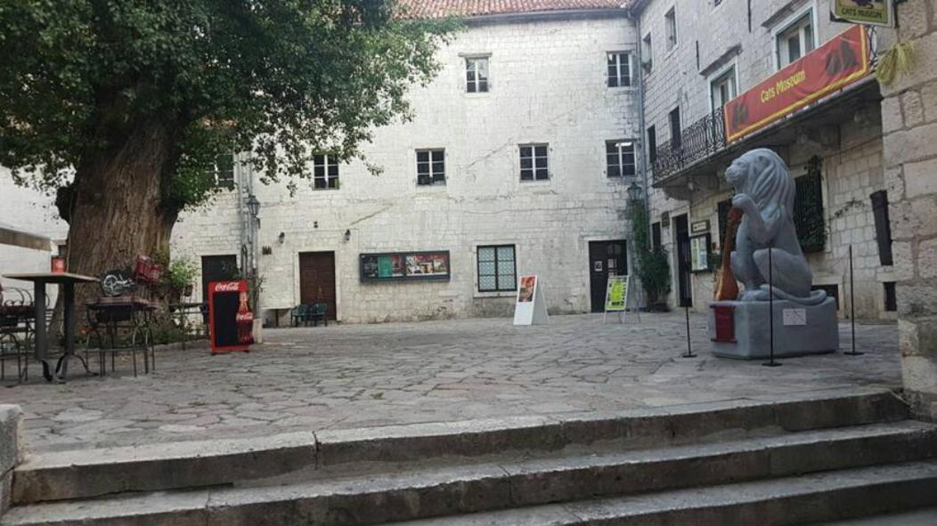 Centar Starog Grada Daire Kotor Dış mekan fotoğraf