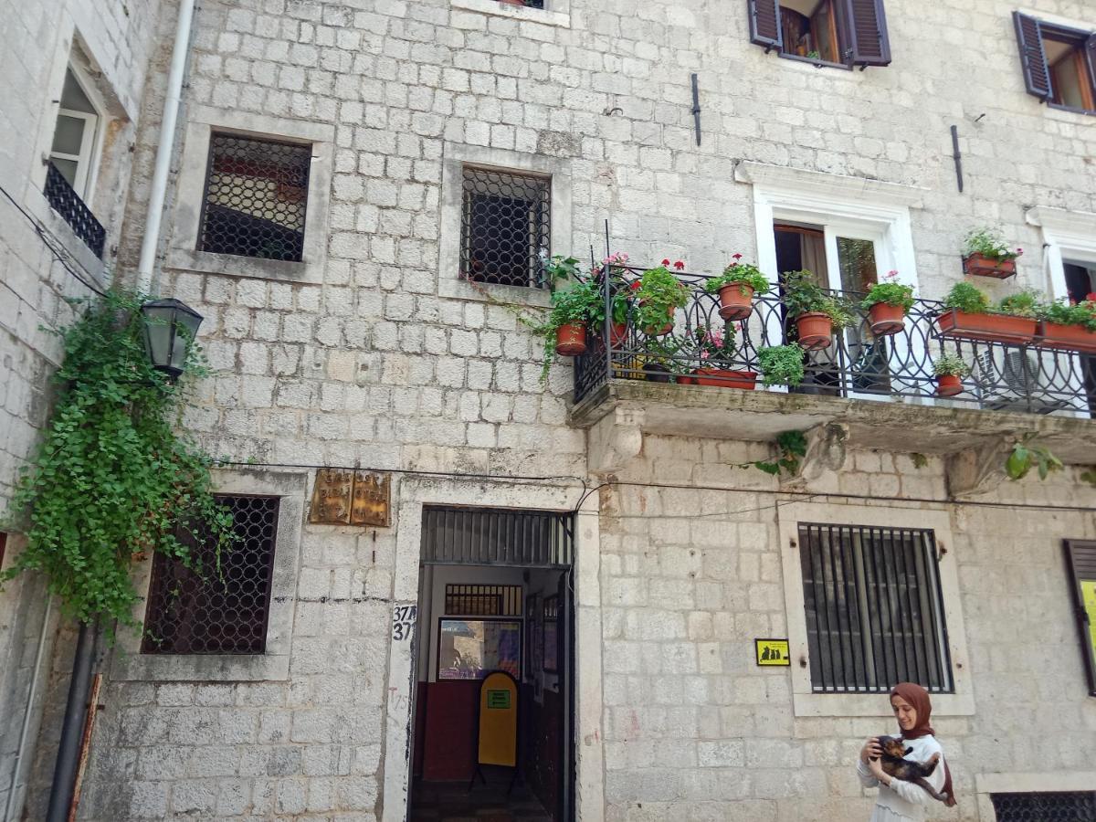 Centar Starog Grada Daire Kotor Dış mekan fotoğraf