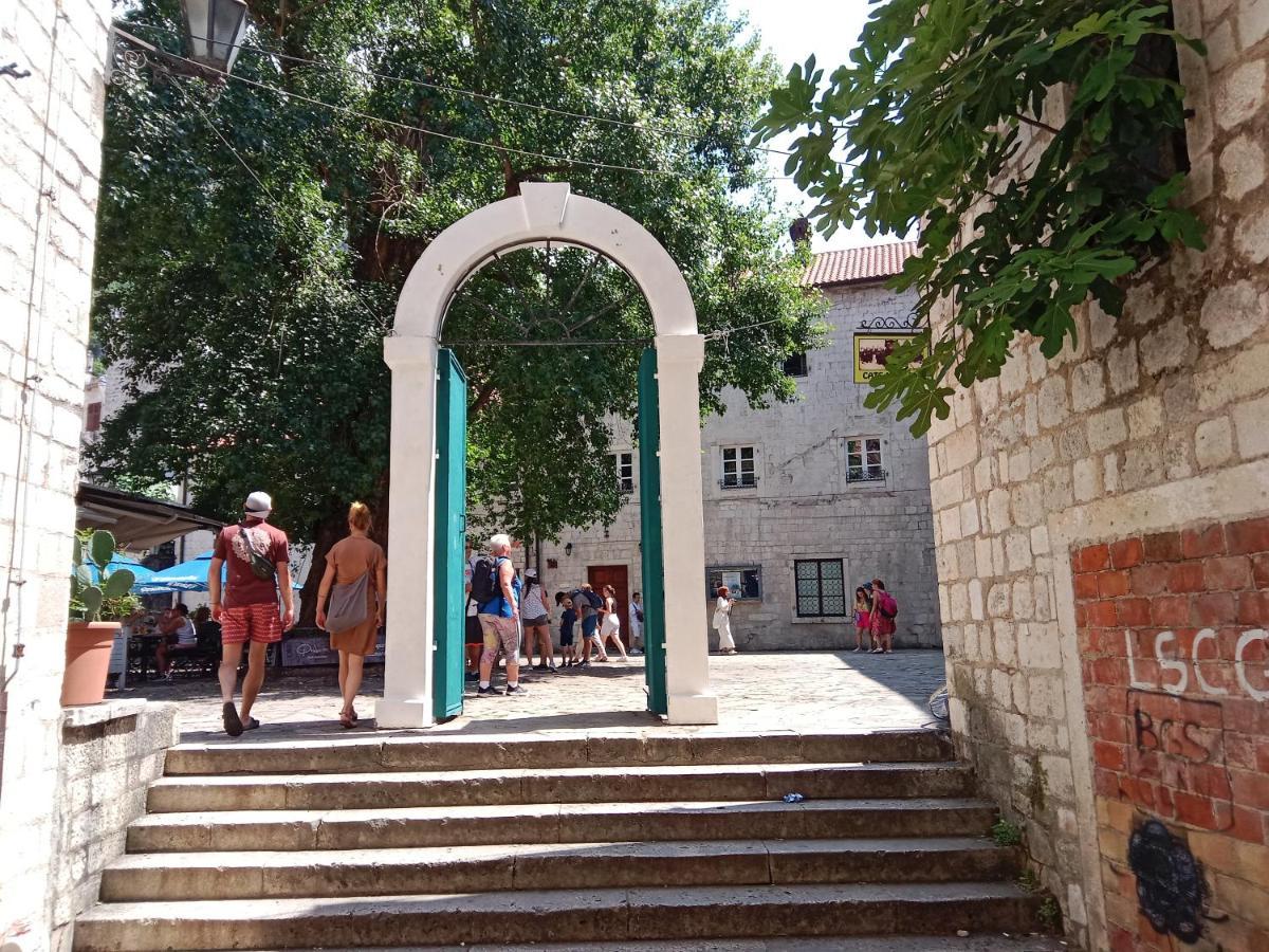 Centar Starog Grada Daire Kotor Dış mekan fotoğraf