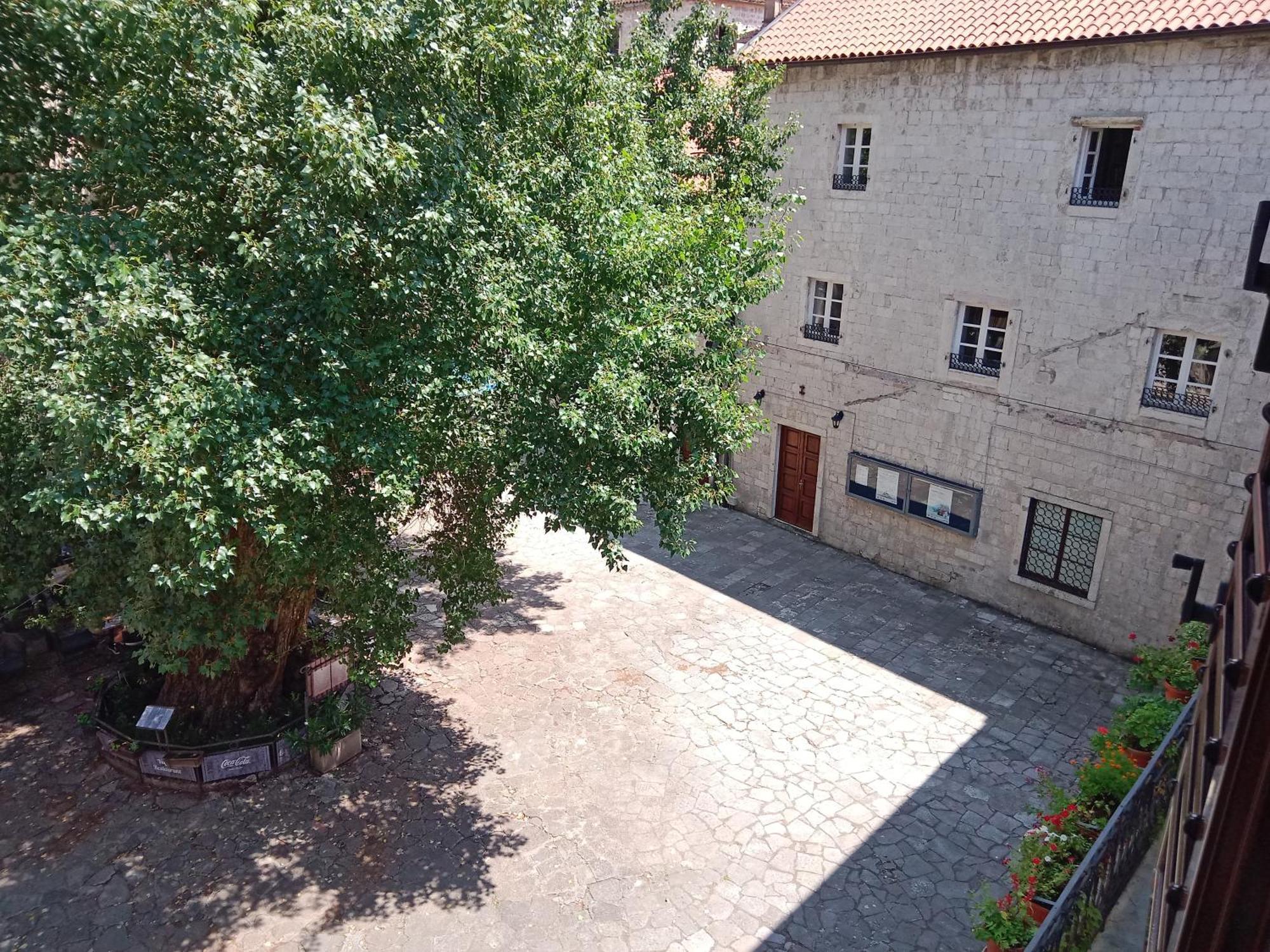 Centar Starog Grada Daire Kotor Dış mekan fotoğraf