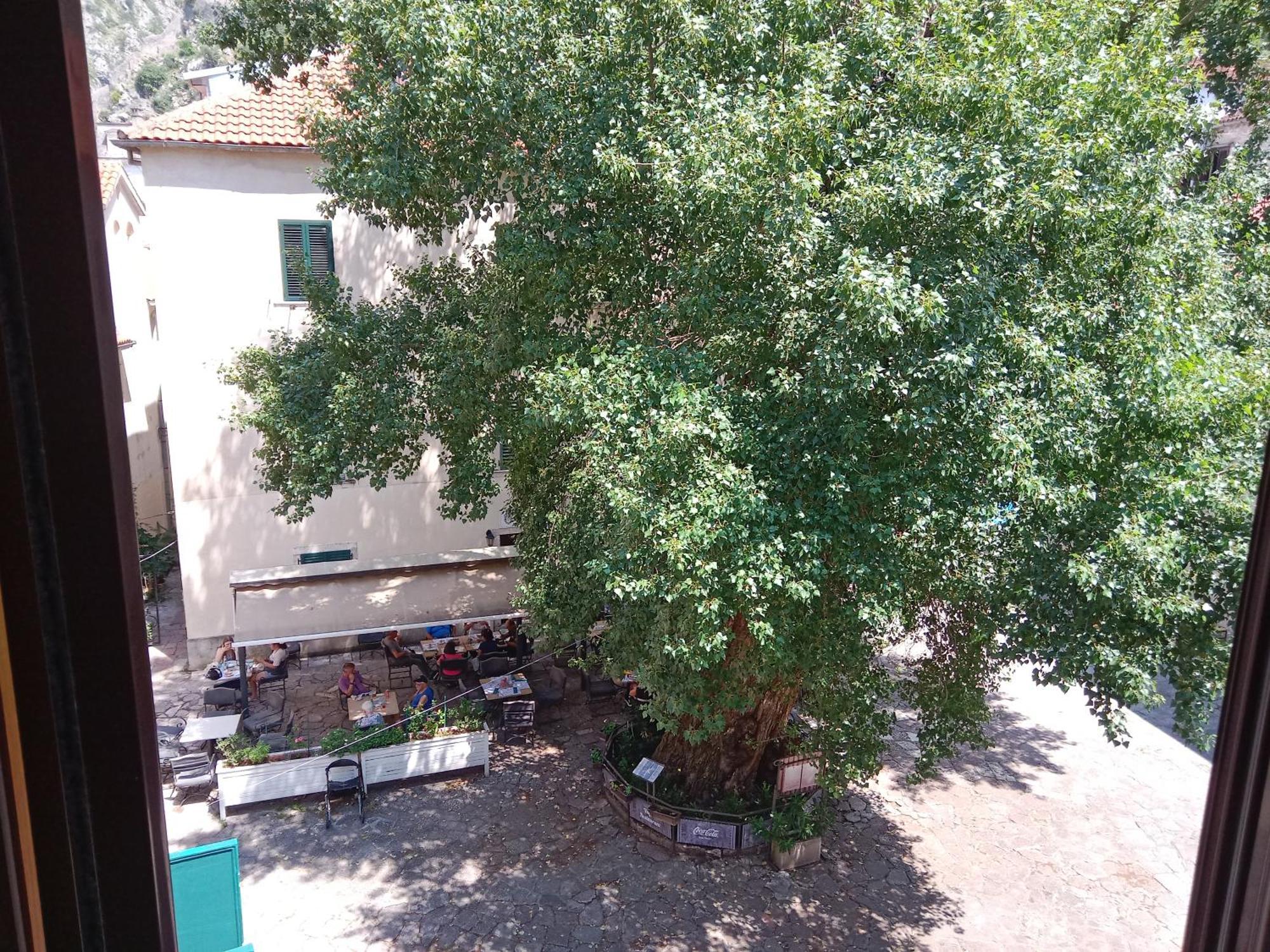Centar Starog Grada Daire Kotor Dış mekan fotoğraf